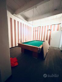 Fondo commerciale porta a terra-Salviano