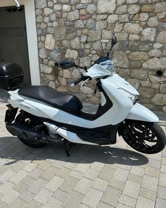 Sym hd 300