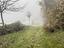 Immagine 27