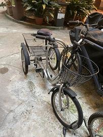 Triciclo per adulti San Marco