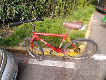 bicicletta 