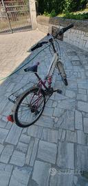citybike