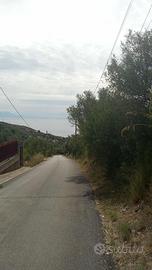 Terreno taglio strada 350metri da ferramenta leo