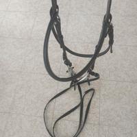 Testiera per Cavallo