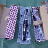 Ammortizzatori post  Nissan Almera N15