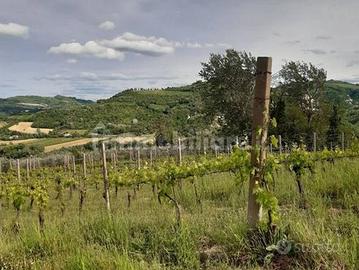 Terreno agricolo
