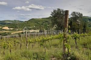Terreno agricolo