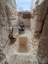 Mini escavatore 0.8Q