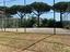 Immagine 19
