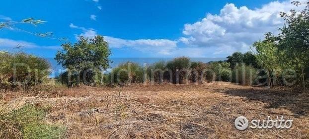 Terreno agricolo 3.800 mq panoramico a san gerardo - Vista 5