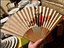 Immagine 4