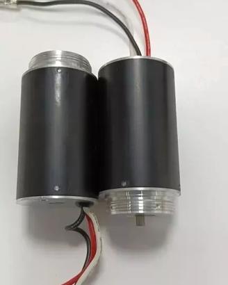 Motore 16.8v per forbici da pota 48V