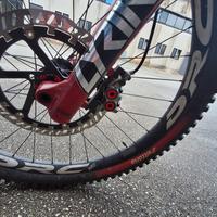 Canyon Toruqe al 8.0 2021