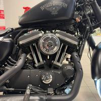 Harley Davidson 883 Iron