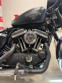 Harley Davidson 883 Iron