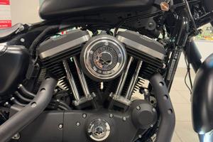 Harley Davidson 883 Iron