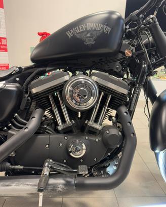 Harley Davidson 883 Iron