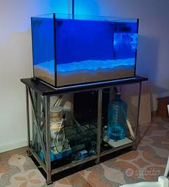 Acquario marino 