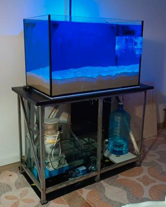 Acquario marino 