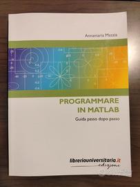 Programmare in Matlab