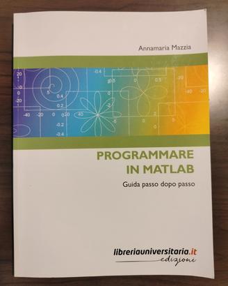 Programmare in Matlab
