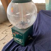 Dispenser per gomme da masticare a monete