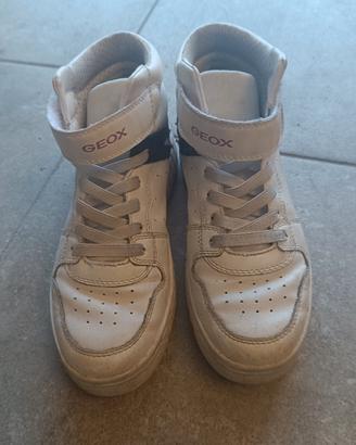 sneakers Geox n.36