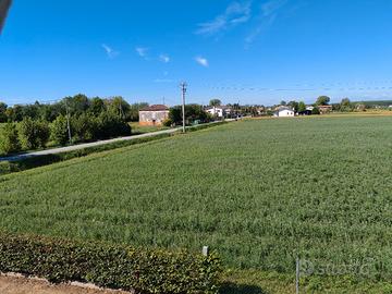 Terreno Agricolo
