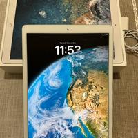 iPad Pro 12.9 Wi-Fi Seconda Generazione Completo