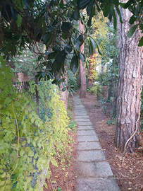 Villa Marina Romea/Ravenna centro