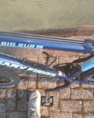 MTB S Gary Fischer Big Sir GS