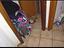 Immagine 15
