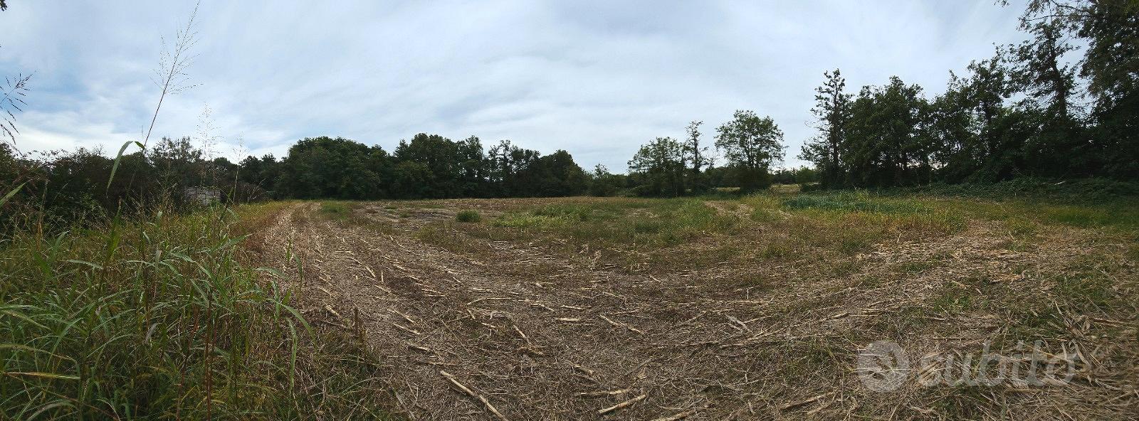 Terreno in via Privata per Monguzzo-Anzano - Altro