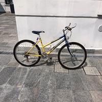 Mountain bike Bottecchia 