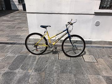 Mountain bike Bottecchia 