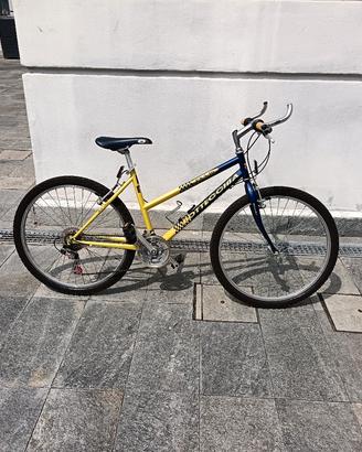 Mountain bike Bottecchia 
