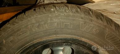 gomme neve 