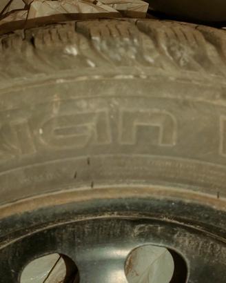 gomme neve 