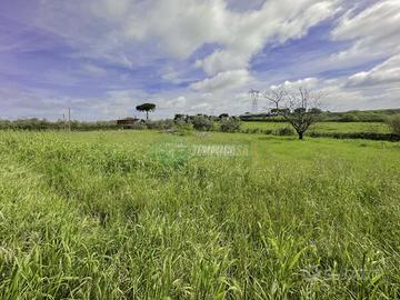 Appartamento In Villa con due nuclei abitativi