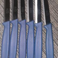 set coltelli da tavola in acciaio inox