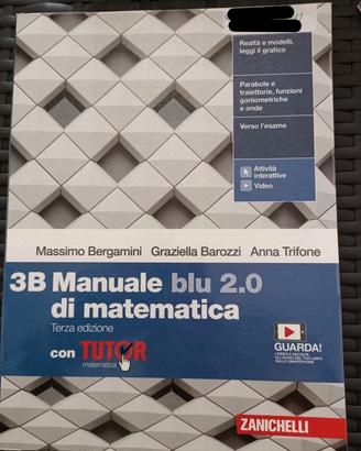 Manuale blu 2.0 di matematica 3B