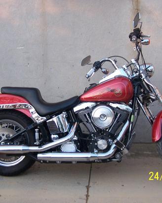 Harley Davidson Softail Springer