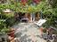 Immagine 16