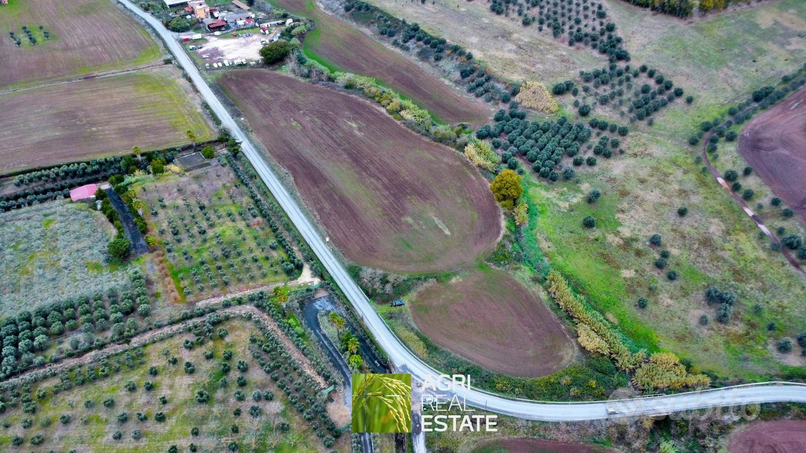 Terreno agricolo 3 HA ca. fronte strada | TR475 - Vista 2