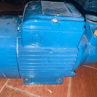 Elettropompa pedrollo Pkm 80