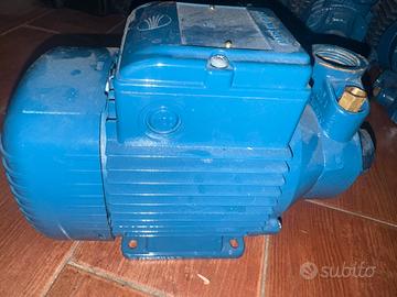 Elettropompa pedrollo Pkm 80