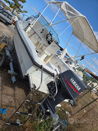 Semicabinato ,fuoribordo e carrello