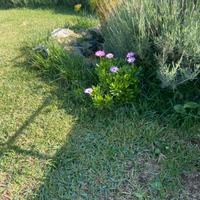 Villetta Garden Relax 54