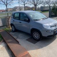 Fiat Panda 1.0 FireFly S&S Hybrid Pandina