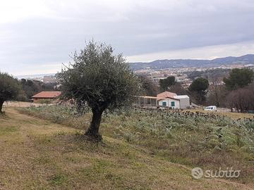 Terreno Agricolo San Bartolo- vista città e mare